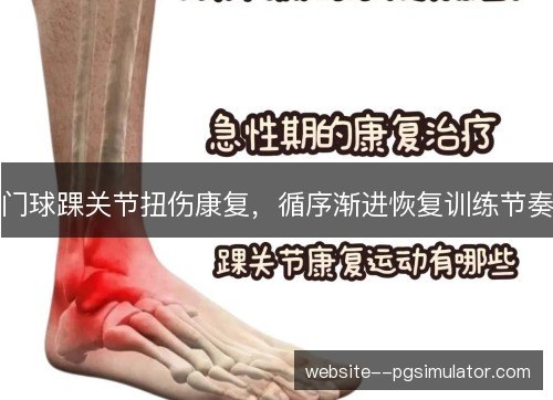 门球踝关节扭伤康复,循序渐进恢复训练节奏 门球踝关节扭伤康复,循序渐进恢复训练节奏